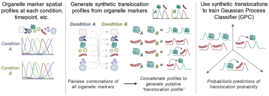 Subcell-Fractionation_MAK