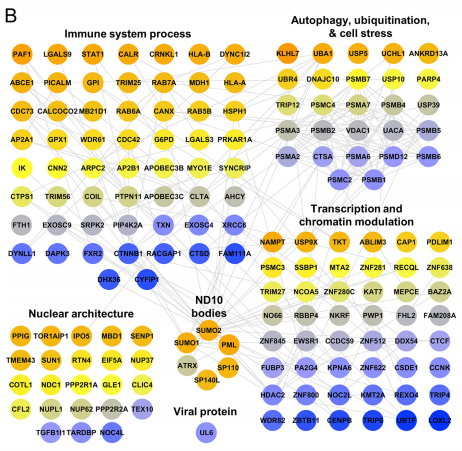 interactome